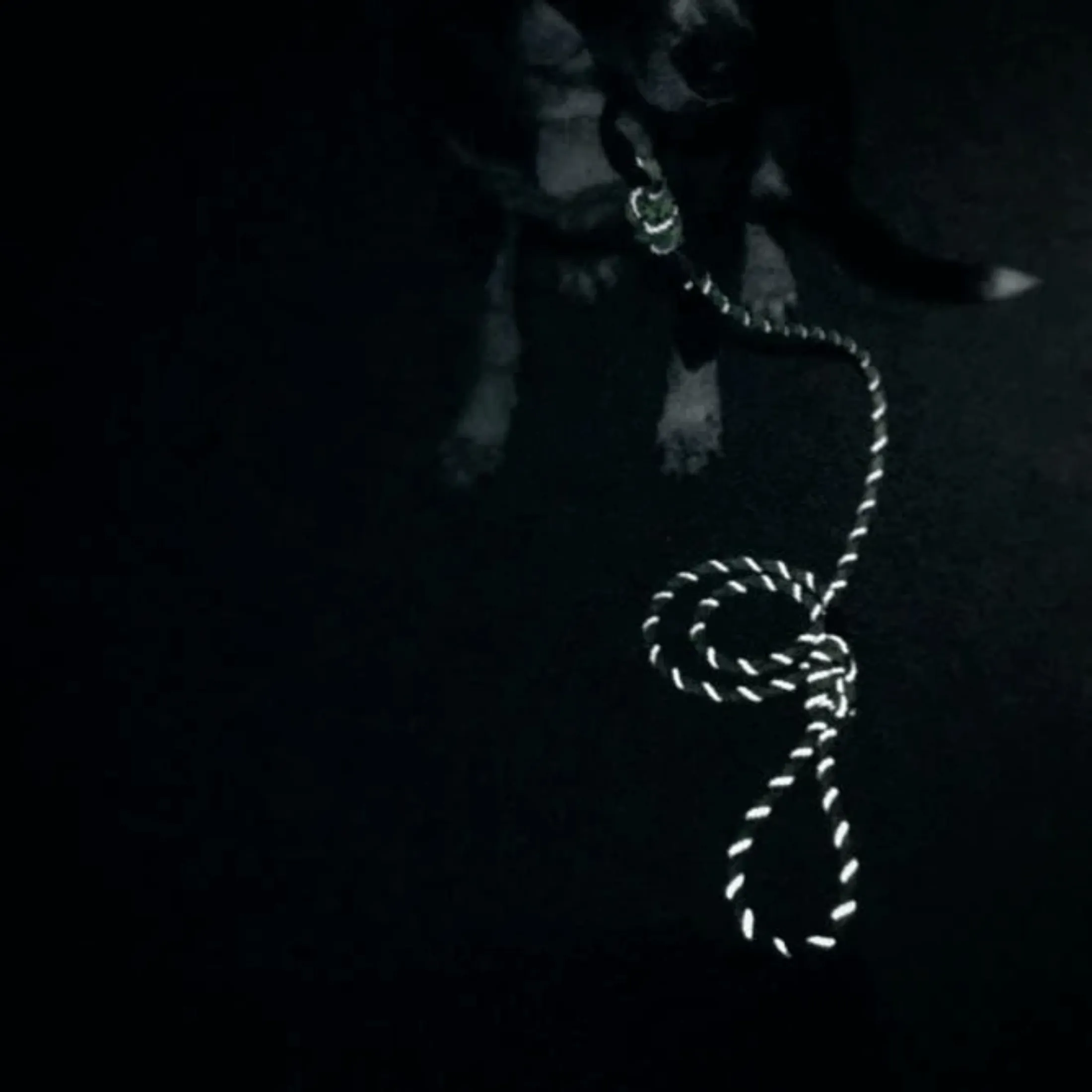 Alpine Reflective Rope Collar